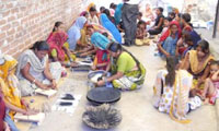 Palanpur and Anarde Foundation Activities