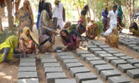 Palanpur and Anarde Foundation Activities